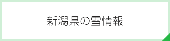 新潟県の雪情報